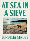 At Sea in a Sieve